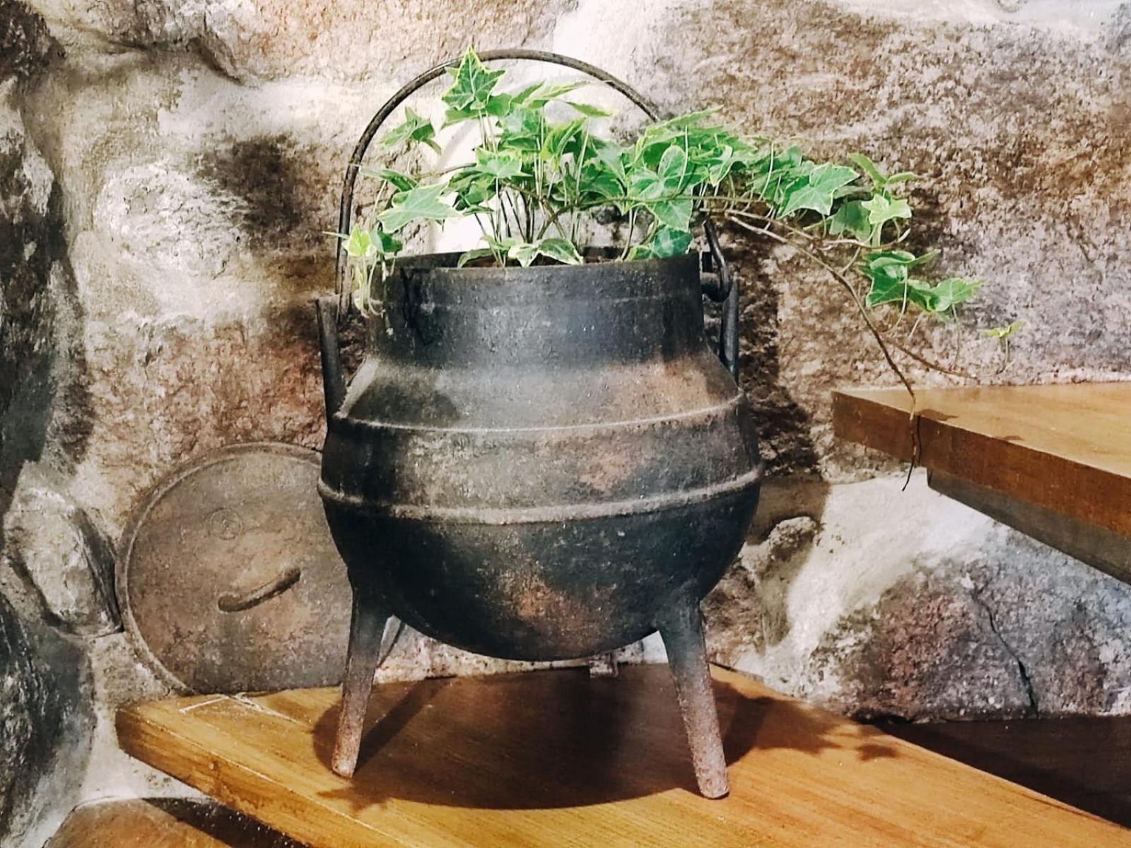Casa Boletus Villa Castro Laboreiro Eksteriør billede